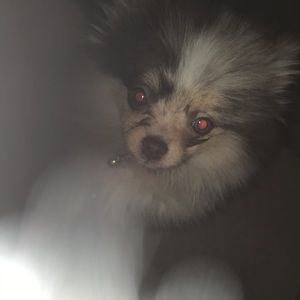 Meet your Posher, Jaylyn